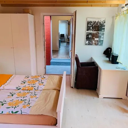 Al Porto Fantastic & Mountain View Lejlighed Brienz (Bern)