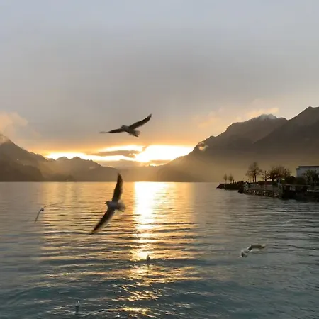 Lejlighed Al Porto Fantastic & Mountain View *